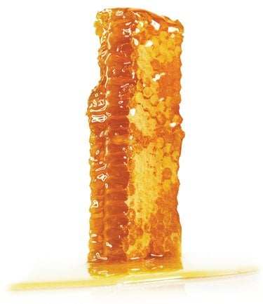 A closeup of a yellow and brown honeycomb.