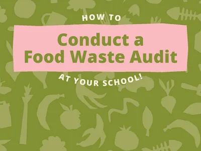 How to Conduct a Food Waste Audit at Your School