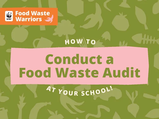 How to Conduct a Food Waste Audit at Your School