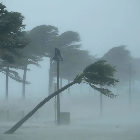 Trees bend in the tropical storm wind along North Fort Lauderdale Beach Boulevard as Hurricane Irma hits the southern part of the state in Fort Lauderdale, Florida.