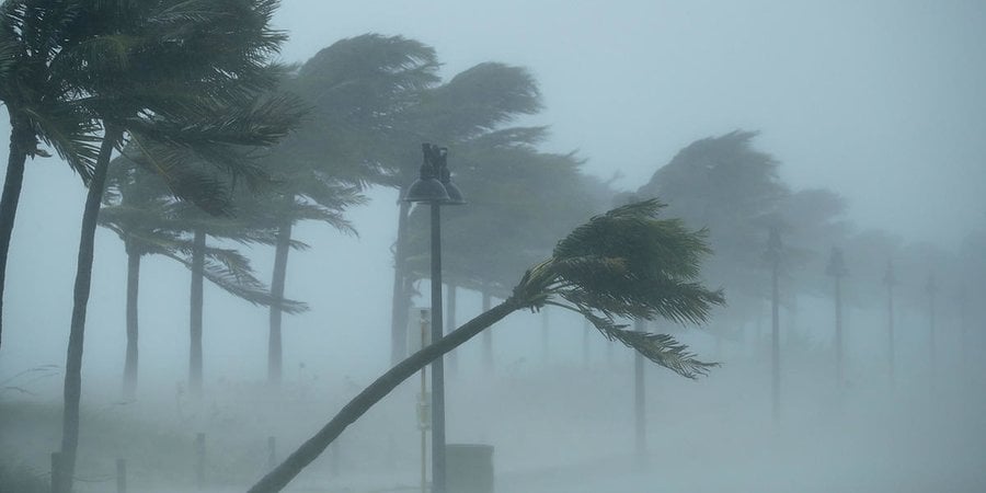 Trees bend in the tropical storm wind along North Fort Lauderdale Beach Boulevard as Hurricane Irma hits the southern part of the state in Fort Lauderdale, Florida.