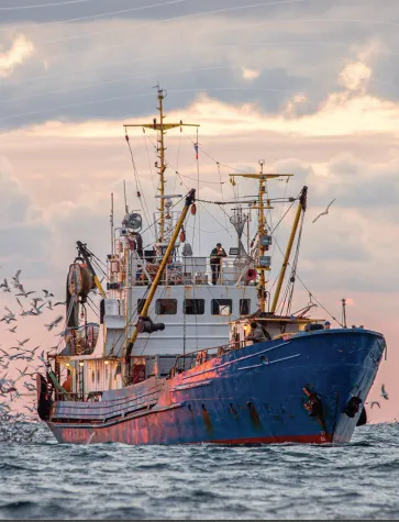 Fishing boat surrounded by birds on the water