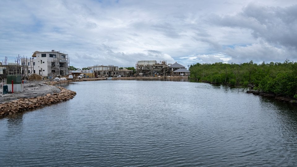 Mangroves on one side, grey concrete on the other side