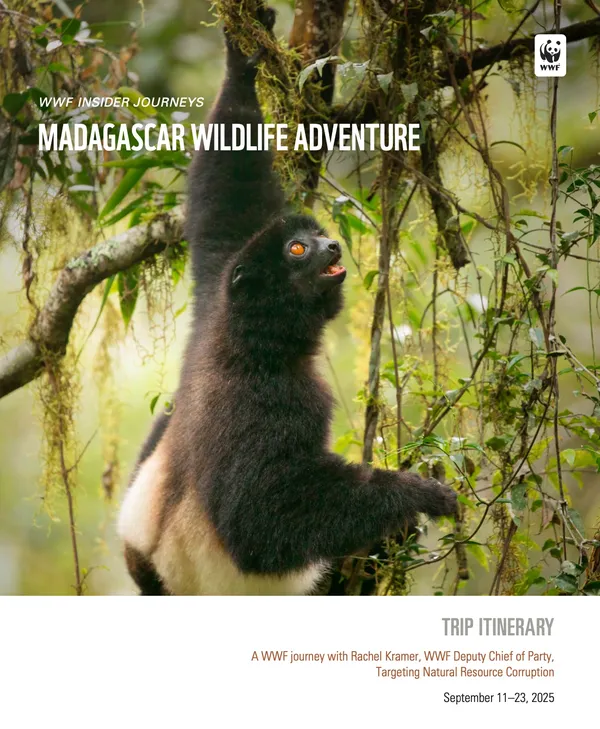 Cover photo for IJ Madagascar 2025 trip