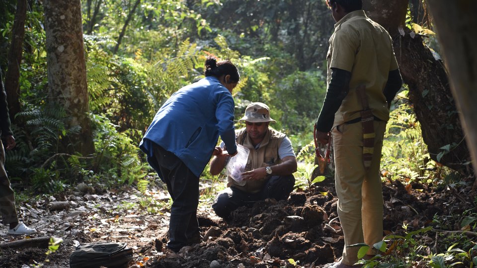 A team of scientists inspect rhino dung in the forest