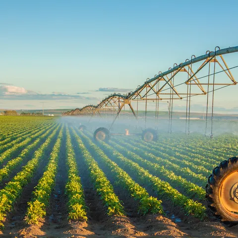 Irrigation machine on a farm field