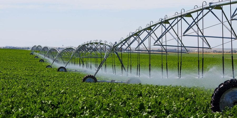 Industrial farm sprinkler irrigation roles through a field.