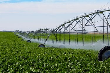 Industrial farm sprinkler irrigation roles through a field.