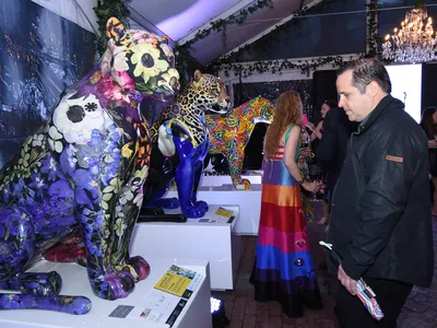 A man in a dark jacket looks at jaguar statues with elaborate costumes at an event space.