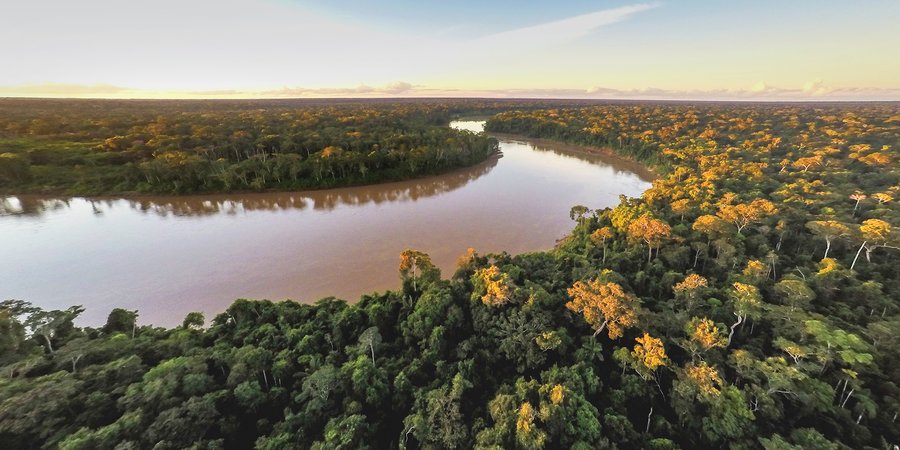 River from above curving through forest