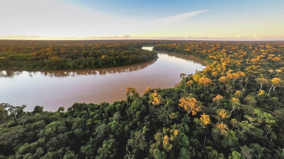 River from above curving through forest