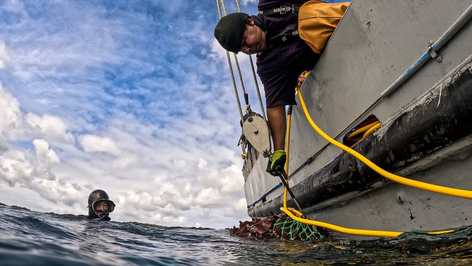 Diver diver Juan Ortega looks on from the water as Juan Chiguay hooks a net full of seaweed, that the diver collected off the coast of Guafo Island