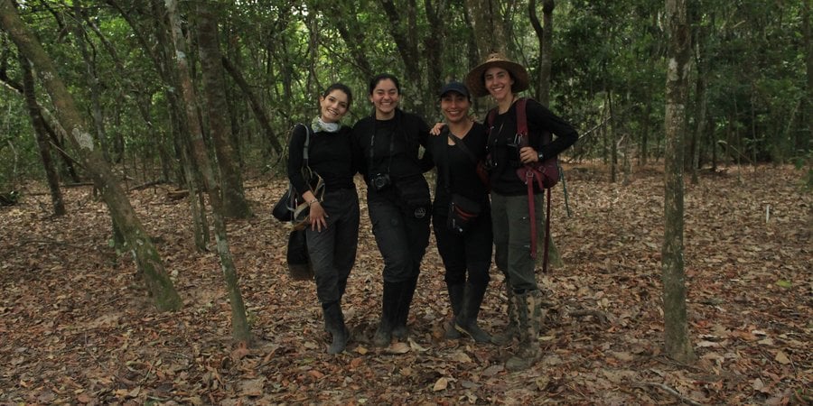 Four women and scientists of color stand together embracing shoulders and smiling at the camera. They are under a canopy of trees.