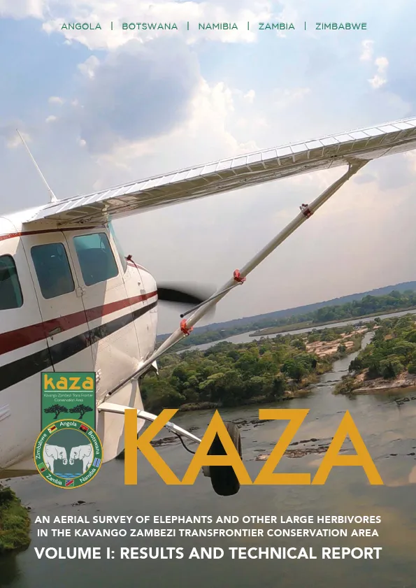 Report Cover with plane flying over African landscape