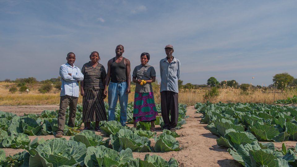 A group of people stand in a plot of farm.