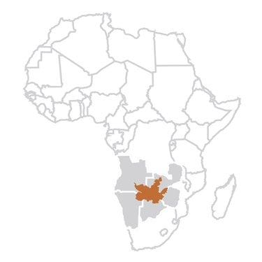 A map image of Africa with countries outlined. In the south of the African continent there is a orange highlighted area representing the Kaza boundaries.