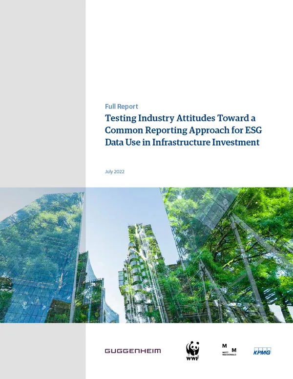 Report cover showing buildings and trees superimposed