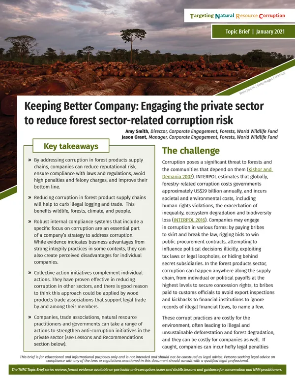A report cover showing logs on the ground and much of the text of the report itself