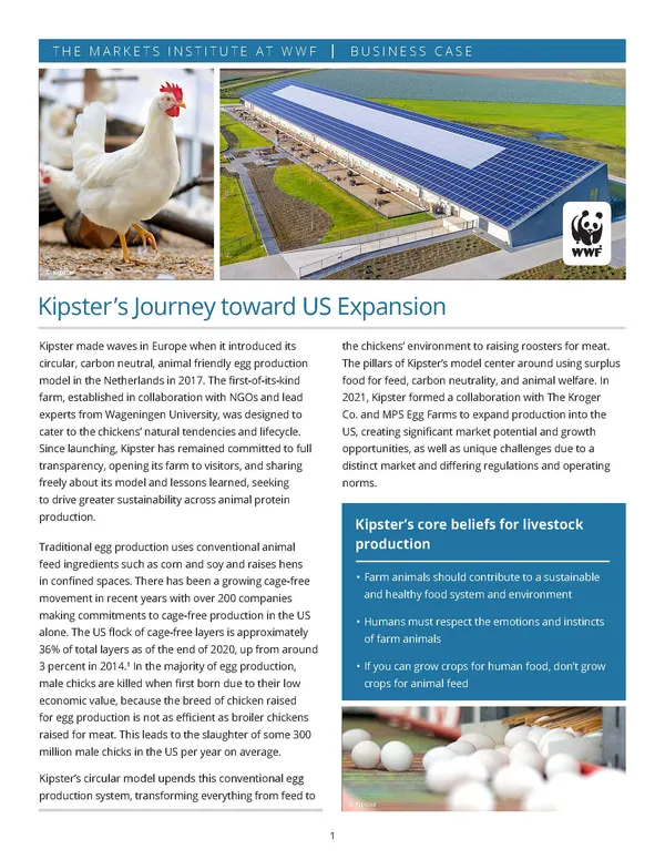 Kipster‚Äôs Journey toward US Expansion
