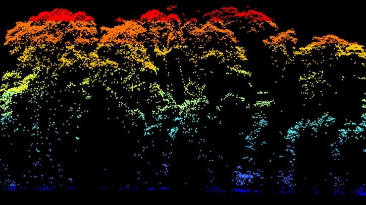Lidar point cloud of a forest plot in northeast Gabon, north of Ivindo National Park. The tallest layer of the canopy is shown in dense red points.