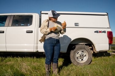 WWF's Leah Thayer goes over notes during a beaver dam analog build in Montana.