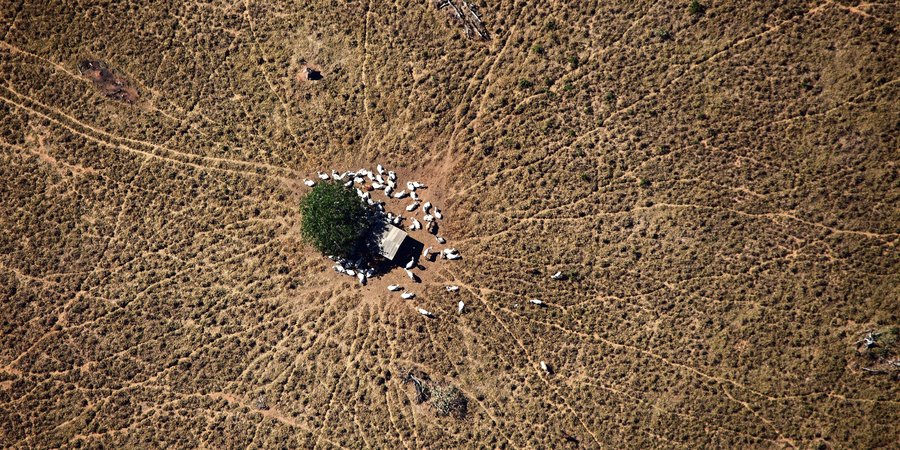 Aerial photo of small cattle ranch showing deforestation