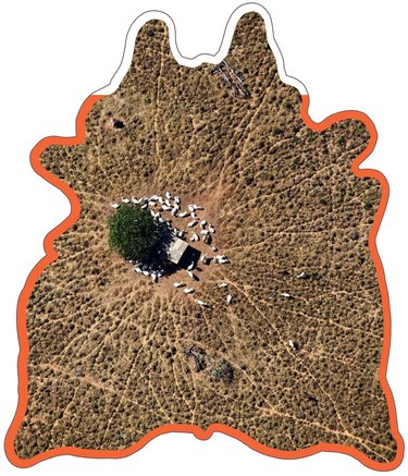 Overhead photo of small ranch cut in shape of hide