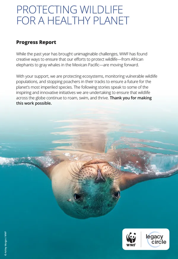 Seal in water