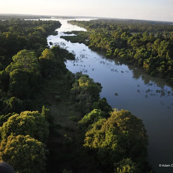 An aerial photo with a river flanked by dark forests