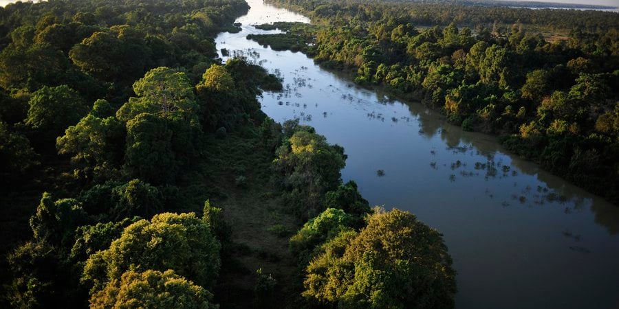 An aerial photo with a river flanked by dark forests
