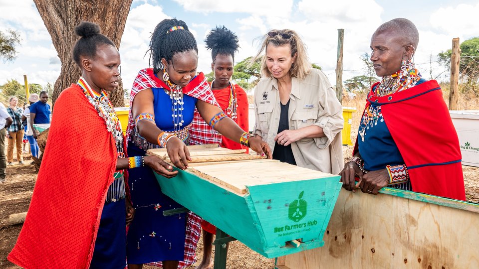 WWF's Loren Mayor learns beeking methods from the Ngaisi Women’s Group in Kenya