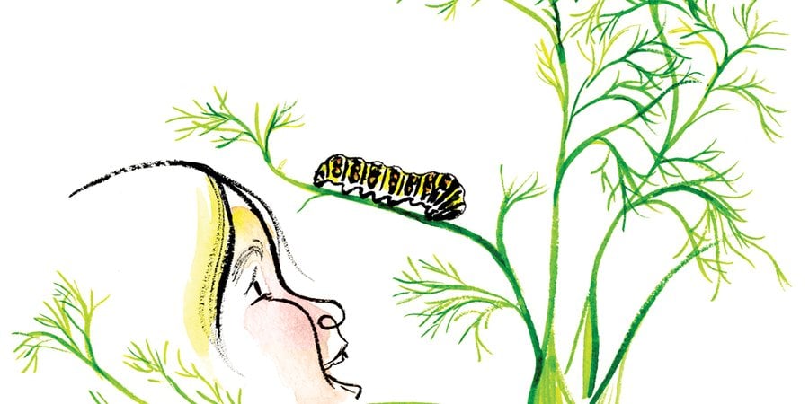 Illustration of a girl looking at a caterpillar