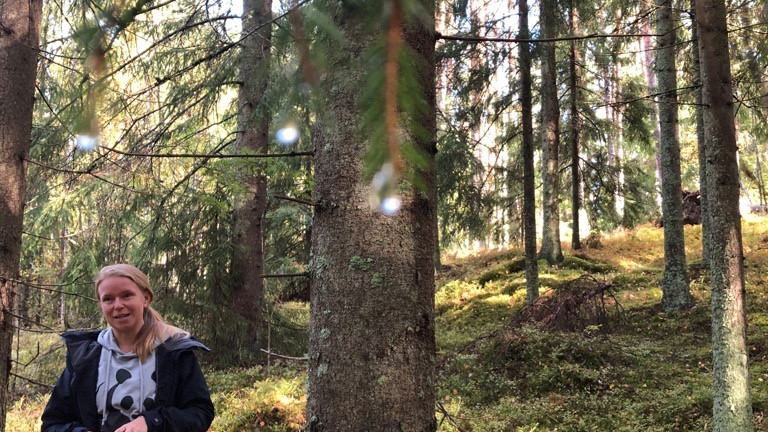 Mai Suominen stands in the forest