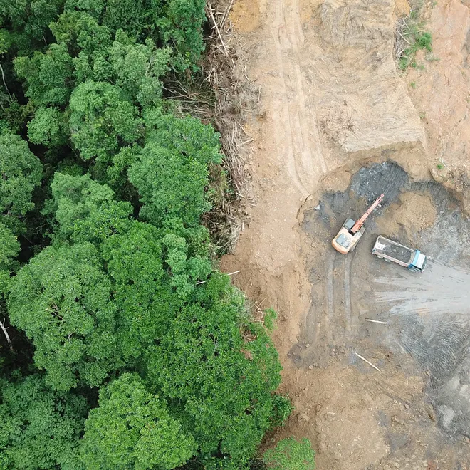 An aerial photograph showing a green forest on the left and clear-cutting on the right