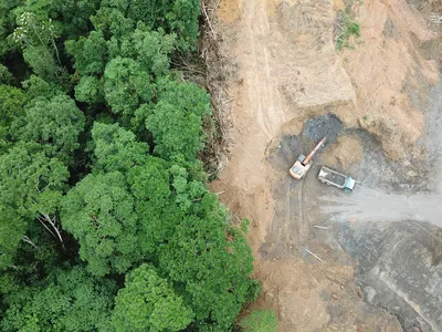 An aerial photograph showing a green forest on the left and clear-cutting on the right