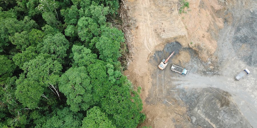 An aerial photograph showing a green forest on the left and clear-cutting on the right