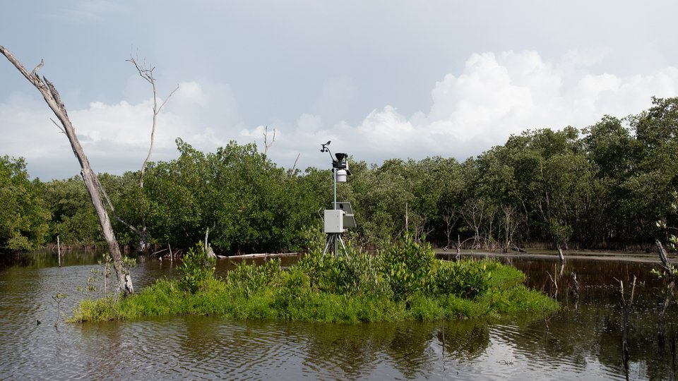 A weather station set on an island in the mangroves