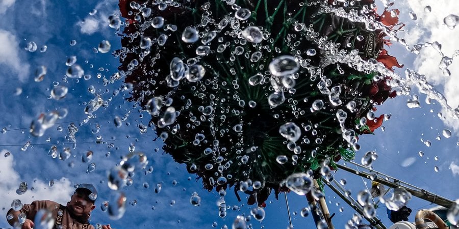 View from water below as net of seaweed is lifted onto boat deck by Captain Manuel Vida