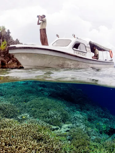 A person stands with binoculars on the front of a boat amid a coral reef.