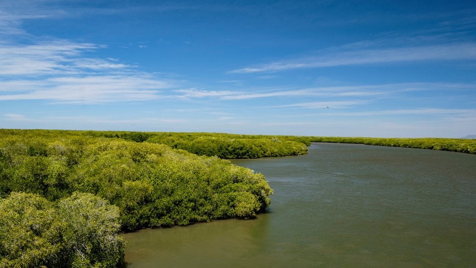 Vista aérea del paisaje de manglares en la Reserva de la Biosfera Marismas Nacionales en Nayarit, México