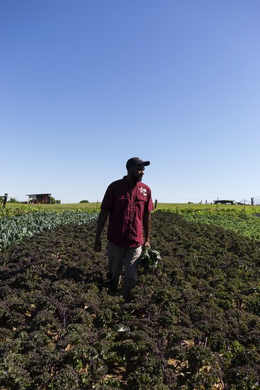 Matthew Robinson stands in a field