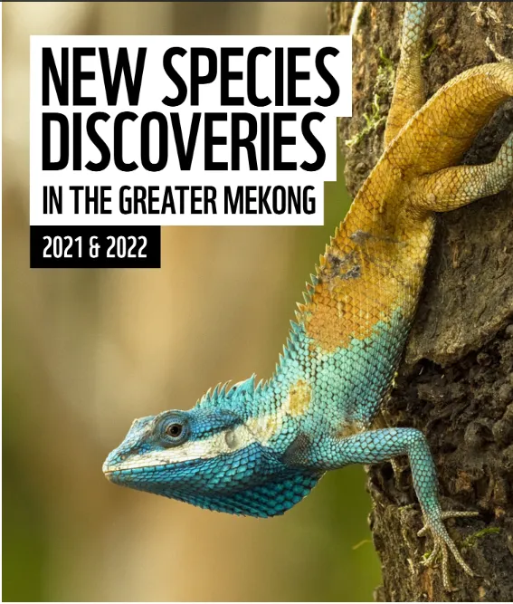 Image of a turquoise and brown lizard with title text