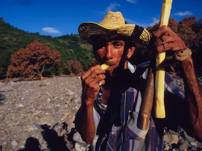 This pheasant farmer stands in front of agricultural land destroyed by a hurricane.