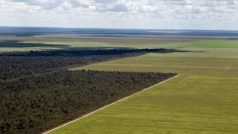 An aerial view showing agriculture encroachment of forests.