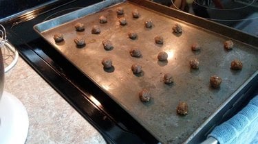 Homemade "moth balls" made from insect meal, nut flour, eggs, and a mix of minerals and vitamins.