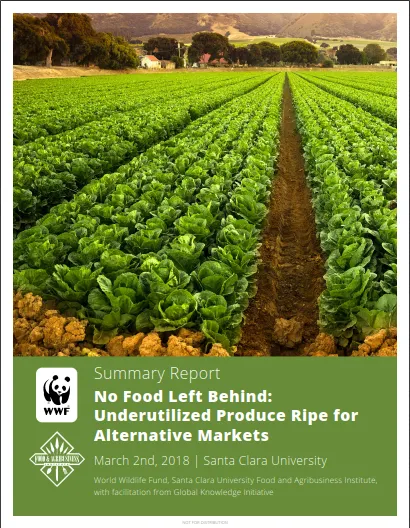 A report cover showing rows of bright green crops with trees and buildings in the background
