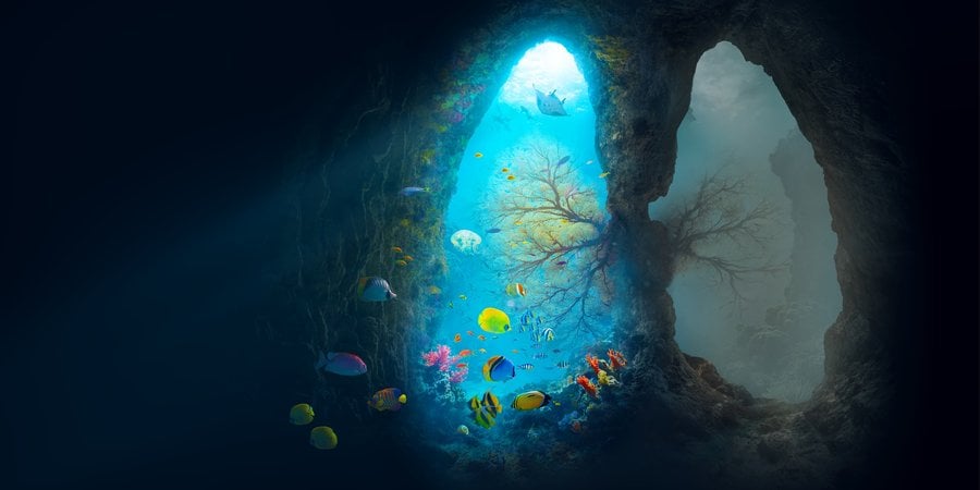 An illustration that shows underwater life in the shape of lungs