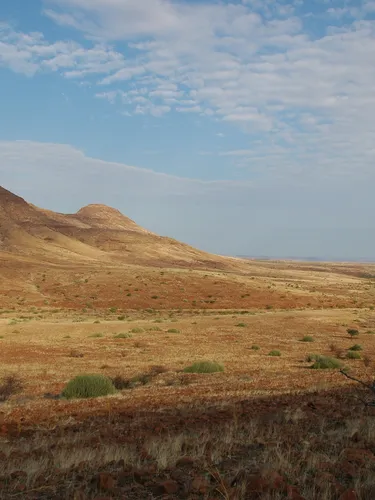 A brown and orange landscape with low sandy mountains and green brush scattered in the foreground.
