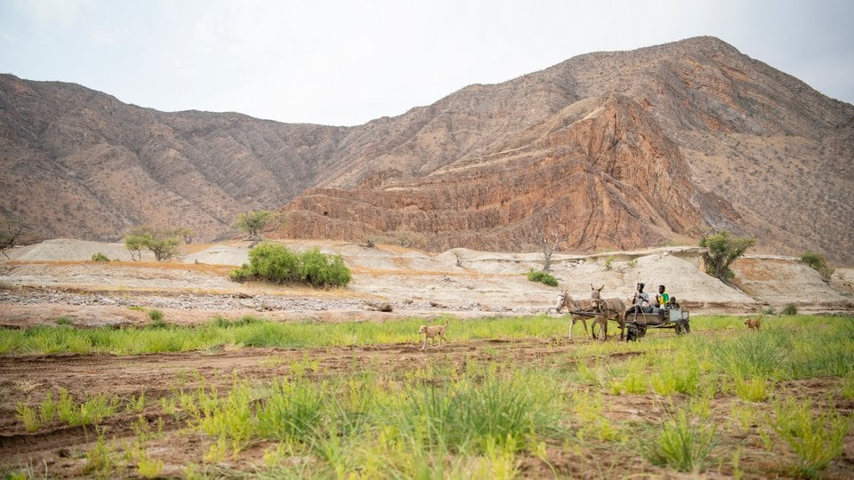 Goat herders in cart following dog