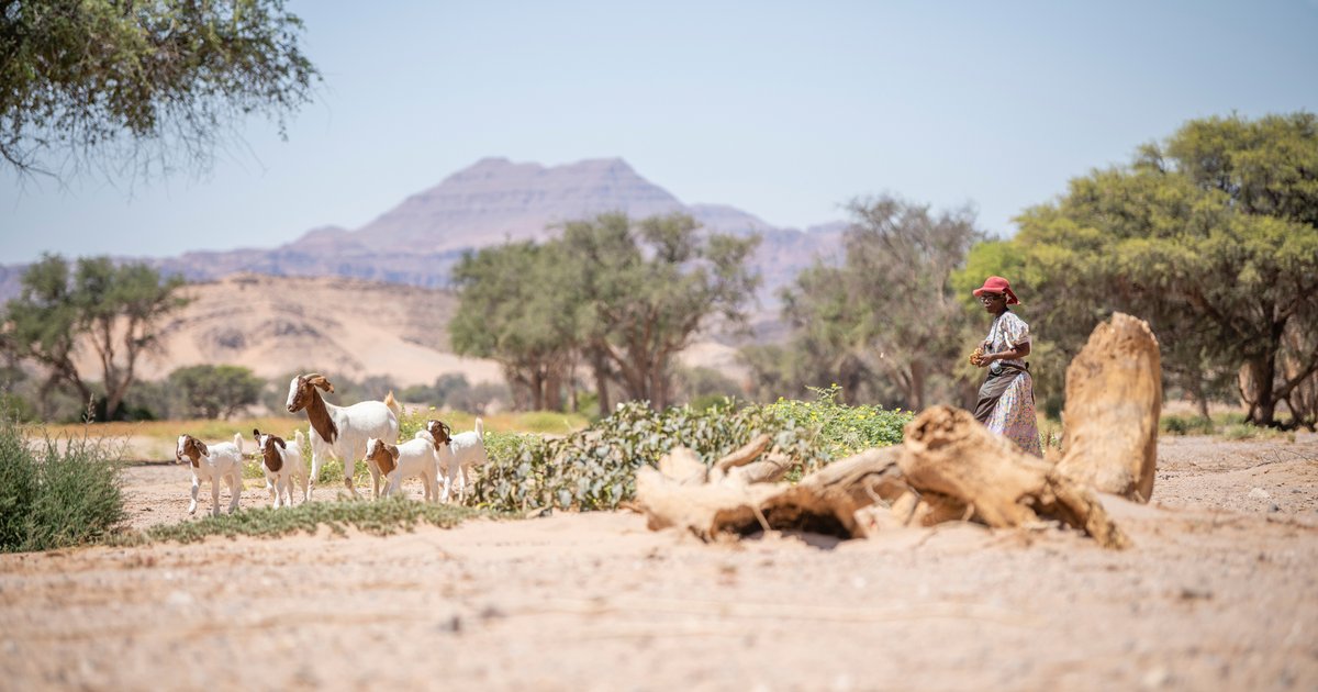 Namibia Community Sharing Space: Namibia’s Community-Led Conservation Model | WWF